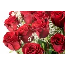 Bouquet of Ecuadorian roses